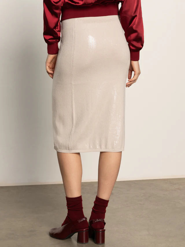 Sparkle Pencil Skirt