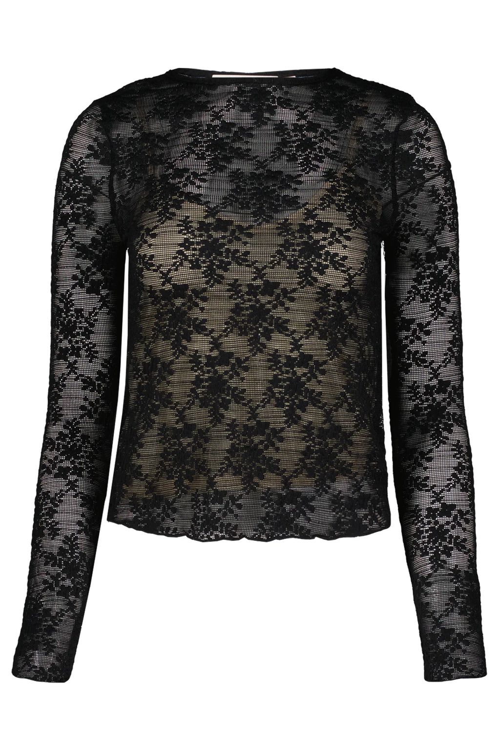 Dani Lace Top